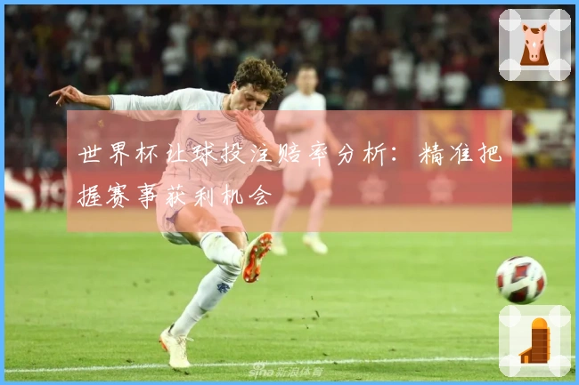 世界杯让球投注赔率分析：精准把握赛事获利机会