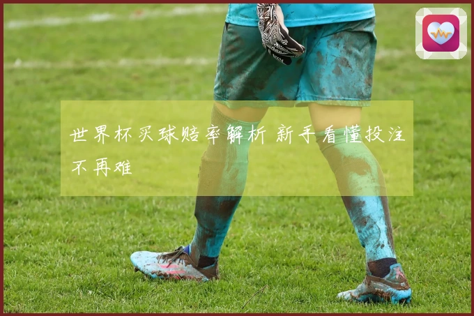 世界杯买球赔率解析 新手看懂投注不再难