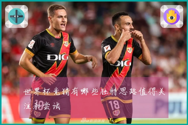 世界杯竞猜有哪些独特思路值得关注和尝试