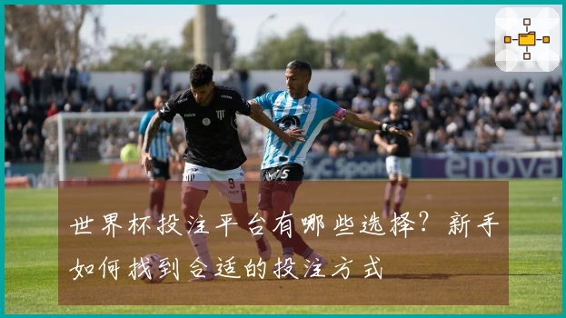 世界杯投注平台有哪些选择？新手如何找到合适的投注方式