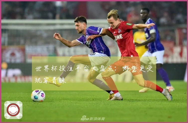 世界杯投注平台大盘点：哪些更受玩家青睐
