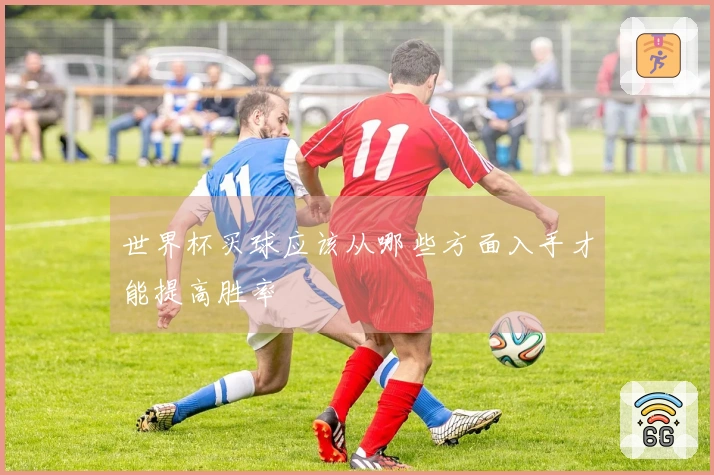 世界杯买球应该从哪些方面入手才能提高胜率