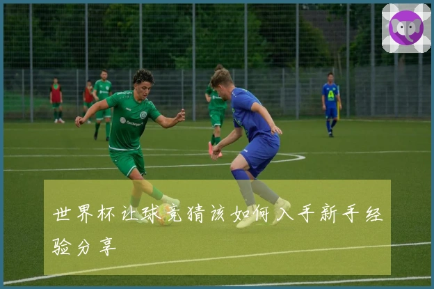 世界杯让球竞猜该如何入手新手经验分享