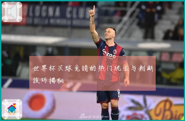 世界杯买球竞猜的热门玩法与判断技巧揭秘