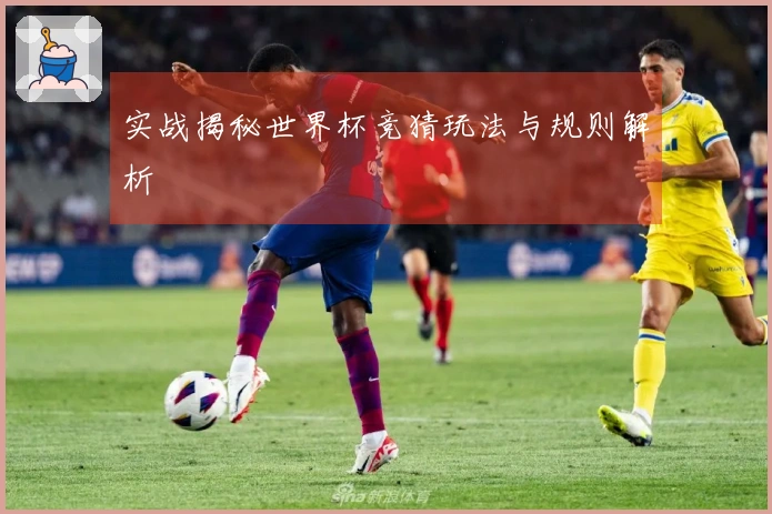 实战揭秘世界杯竞猜玩法与规则解析