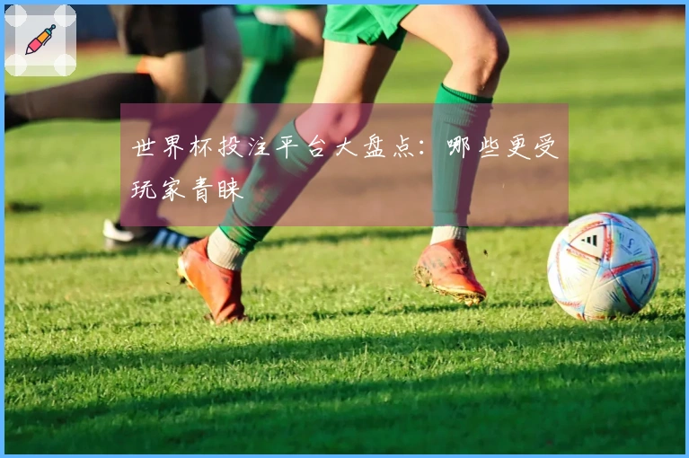 世界杯投注平台大盘点：哪些更受玩家青睐