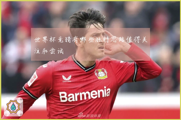世界杯竞猜有哪些独特思路值得关注和尝试