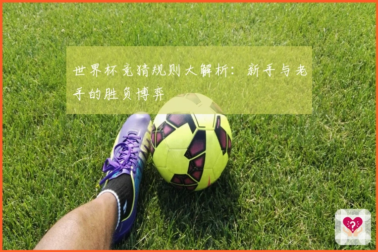 世界杯竞猜规则大解析：新手与老手的胜负博弈