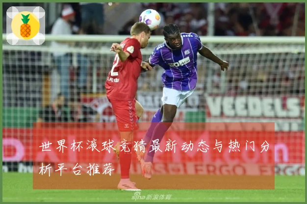 世界杯滚球竞猜最新动态与热门分析平台推荐