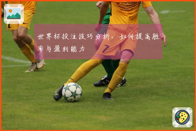 世界杯投注技巧分析，如何提高胜率与盈利能力