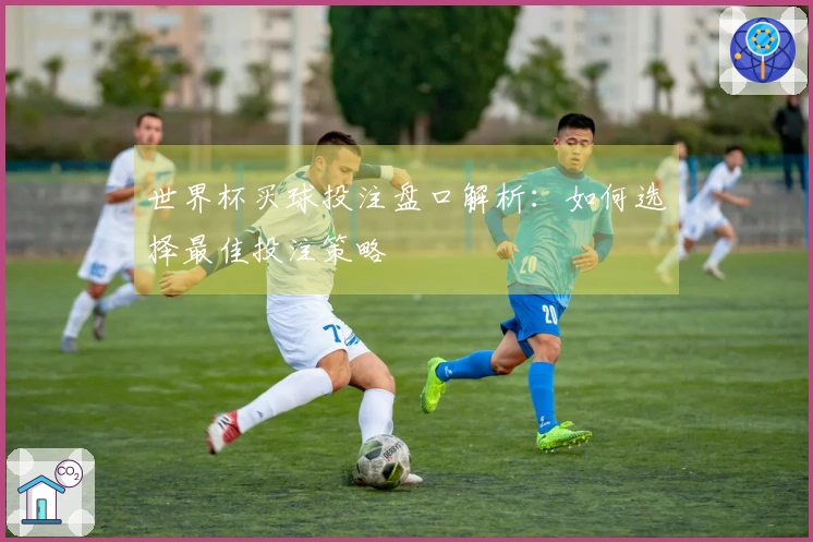 世界杯买球投注盘口解析：如何选择最佳投注策略
