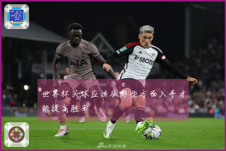 世界杯买球应该从哪些方面入手才能提高胜率