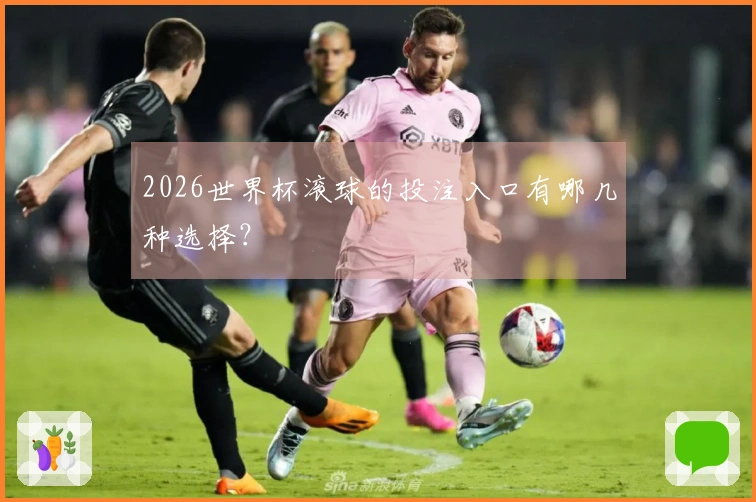 2026世界杯滚球的投注入口有哪几种选择？