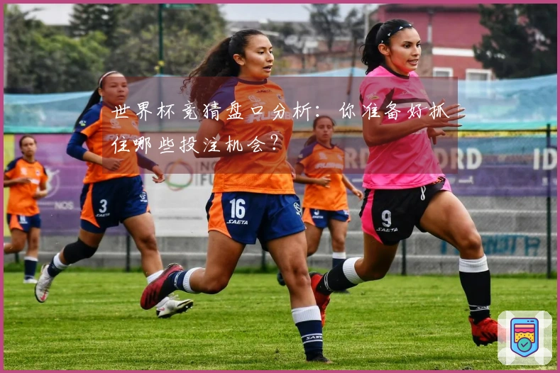世界杯竞猜盘口分析：你准备好抓住哪些投注机会？
